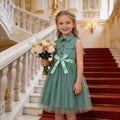 Girls' (sizes) solid color sleeveless turn-down collar mesh dress with woven belt