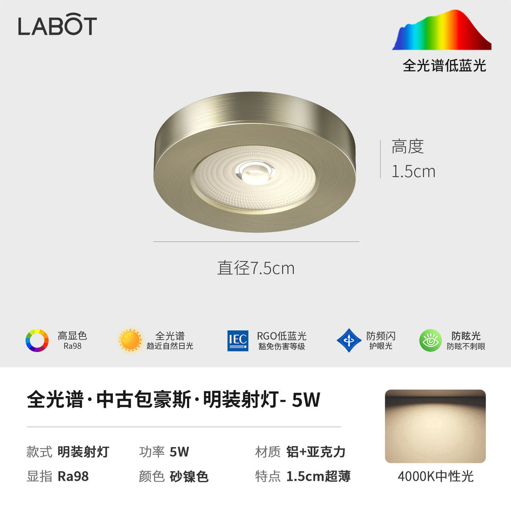 Bauhaus minimalist aisle corridor ultra-thin surface-mounted downlight spotlight retro industrial style anti-glare ceiling fixture (no main light)