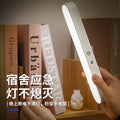 Source desk lamp led night light student special cross-border atmosphere lamp dormitory bedside lamp creative gift cool lamp