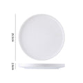 10inch disc with edge