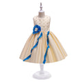 Export children's clothing satin kids dress princess dress girl's first birthday flower girl dress baby dress