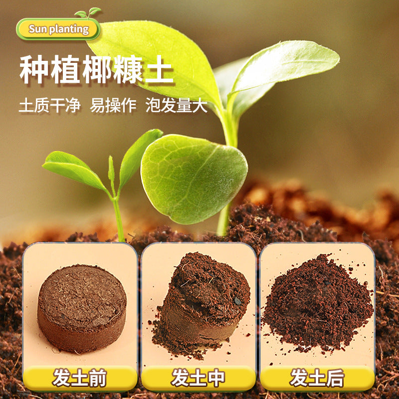 Children's play house sun room planting plants educational science experiment growing vegetables and flowers biological toys gift wholesale