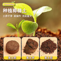 Children's play house sun room planting plants educational science experiment growing vegetables and flowers biological toys gift wholesale