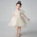 Girls' train dress, stylish children's princess dress, new baby catwalk piano performance clothes, in stock wholesale