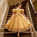 Wholesale girls' formal dresses - long flower girl dresses for weddings - new cross-border children's princess dresses - big kids' clothing - in stock