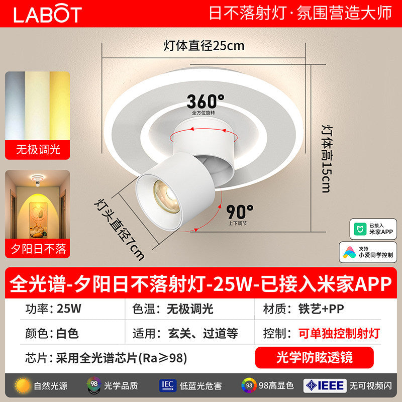 Aisle lights, corridor lights, surface-mounted projection, never-sunset atmosphere lights, entrance hall, high-end balcony led ceiling lights