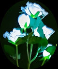 Solar light Outdoor garden light Automatic light in the dark Solar butterfly Firefly rose floor insert night light