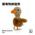 Brownish-gray (sings, learns to talk, flaps wings, speaks)