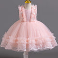Exportnew arrival children's dress lace tutu princess dress female toddler first birthday dress baby dress