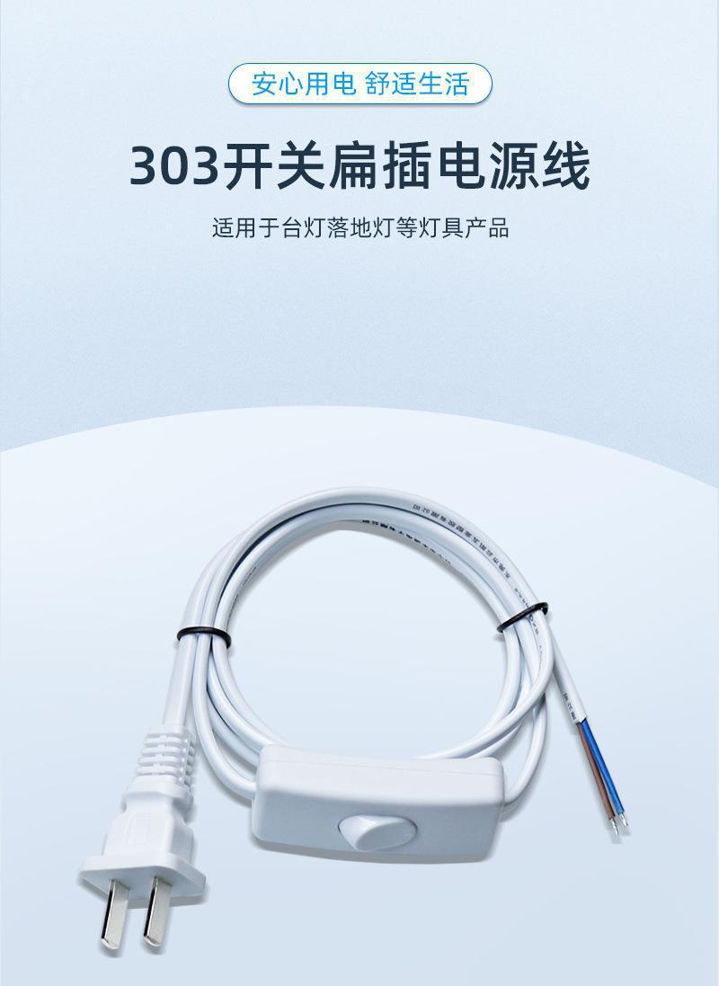 Wholesale tail peeling tin pure copper two-core plug with 303 switch electrical appliance desk lamp national standard two-plug power cord