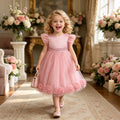 Girls' formal dresses fairy dress baby birthday first birthday sweet kids princess dress lace embroidery in stock cross-border wholesale