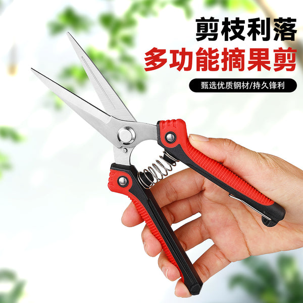 Fruit tree scissors pruning stainless steel pointed fruit picking scissors pruning fruit branches vegetable and fruit scissors floral scissors spot wholesale