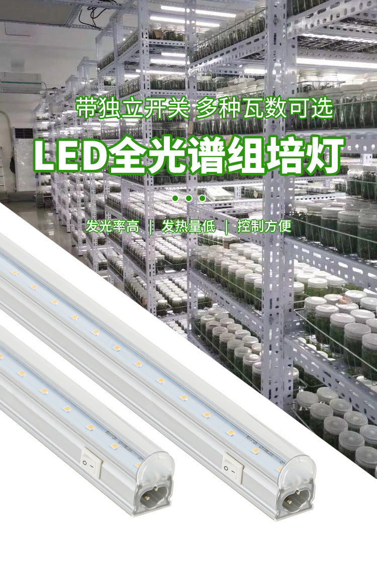 Tissue culture special lamp imitation sun led plant growth lamp full spectrum tissue culture lamp T5T6 with switch lamp