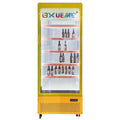 Large single door yellow air cooling 880*650*2080