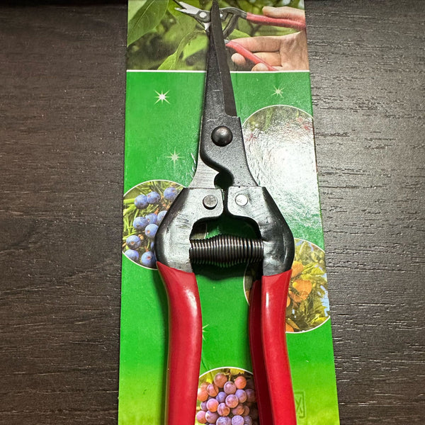 Fruit pruning branches, fruit picking scissors, fruit picking scissors, pepper scissors, fruit and vegetable grape scissors