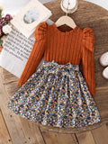 autumn new arrivals: european & american style long-sleeve knitted pullover dress for girls - princess dress for toddlers and young children