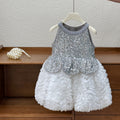 summer girls' dress, heavily embellished sleeveless silver sequin high-end formal dress, vest dress, princess dress - clearance sale on remaining sizes