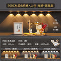 100cm [no need to punch holes, free type-c cable]