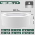 White shell - 6inch -24w-white light 6000k
