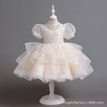 Amazon export girls' dresses model runway performance costume host performance costume tutu skirt children's princess dress