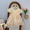 summer new arrival: baby girl's lace mesh floral dress with cute big bow - sweet and adorable princess dress