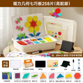 258 pieces of magnetic geometric puzzle building blocks