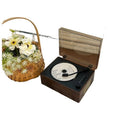 High-fidelity original cd player album player universal bluetooth speaker rechargeable all-in-one unit