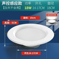 18w white light [voice control sensor with light control] opening 14-17