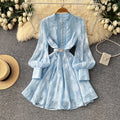 French style court lantern sleeve embroidered dress - women's spring/summer cinched waist cutout single-breasted a-line dress - elegant