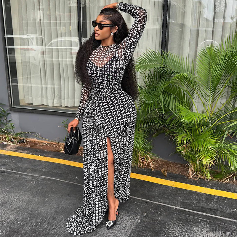 Fashion styleexportelegantwork clothing women's slit slightly see-through waist bag hip skirt printing high collar long sleevesdress trendy