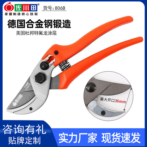 Taiwan Sakawada 806B gardening scissors, fruit tree pruning shears, garden tools, branch shears, garden shears