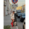 fashion:  autumn new arrivals - chic polka dot print, relaxed fit, zip-up jacket for women (us/eu)