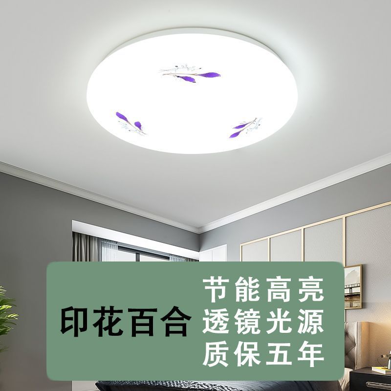 Led ceiling light bedroom lamp home round study minimalist living room lighting fixture dining room hallway kitchen bathroom lighting