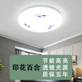 Led ceiling light bedroom lamp home round study minimalist living room lighting fixture dining room hallway kitchen bathroom lighting
