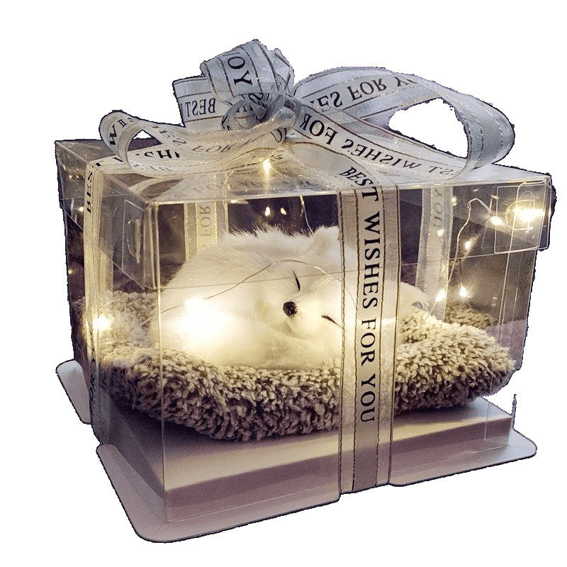 Birthday gifts for girls on Children's Day, children's girlfriends, girlfriends, simulated cats to accompany dolls 61 gift boxes