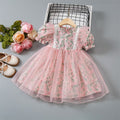 Girls' dress  summer new arrivals: sweet floral print princess dress for toddlers and young children with mesh overlay