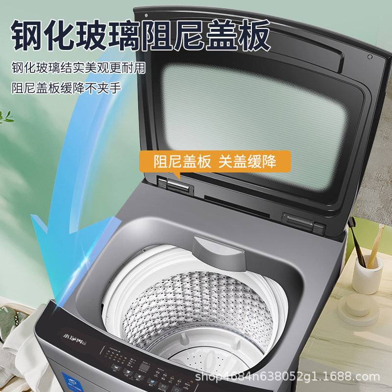Royalstar high-end fully automatic pulsator washing machine with pure copper motor, direct drive, and inverter technology – ideal for home and commercial use