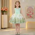 Girls' dress  summer new collection - baby tutu dress, stylish princess sweetheart, trendy children's princess tulle dress