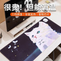 Heated mouse pad - large size, winter warm desk mat for office, student, computer, writing, hand warmer, electric heating