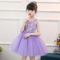 Kids' formal dresses, princess dresses, girls' tutu mesh skirts for toddlers and young children, kindergarten performance costumes, summer tank tops