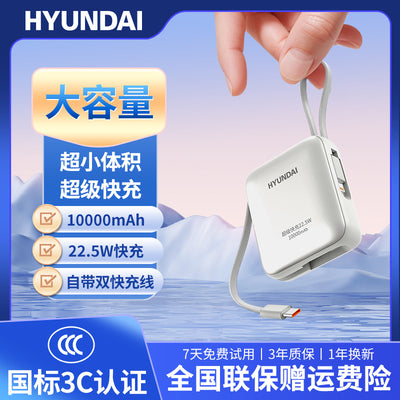 Modern mini portable fast charging power bank 10000mah high capacity built-in cable mobile power supply gift t179l