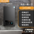 Wholesale royalstar natural gas gas water heater for home13l liquefied gas coal gas forced exhaust gas model 16 liters