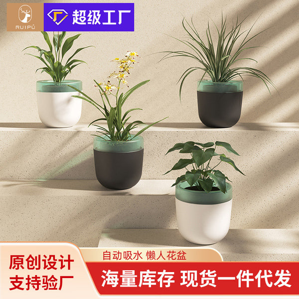 Automatic water absorption, no watering, water storage flower pot, lazy automatic watering, dill resin plastic succulent factory direct sales pot