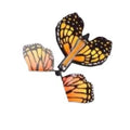 Kids' spring outing & camping outdoor essentials: flying butterfly frisbee, kite, and lawn sprinkler gift set