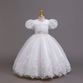 Ready-to-ship children's embroidered sequin puff sleeve princess dress - girls' runway model dress - kids dress