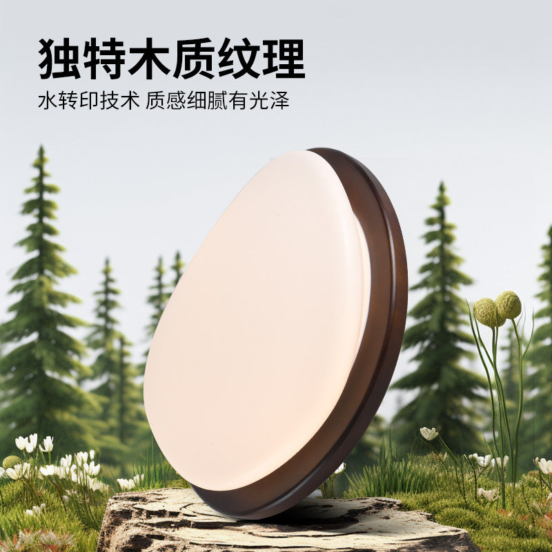 Ceiling light 2025 new medieval style master bedroom book room lighting creative new Chinese atmosphere bedroom light E