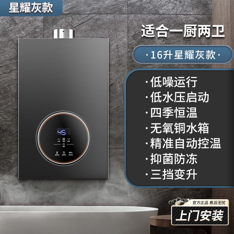 Wholesale royalstar natural gas gas water heater for home13l liquefied gas coal gas forced exhaust gas model 16 liters