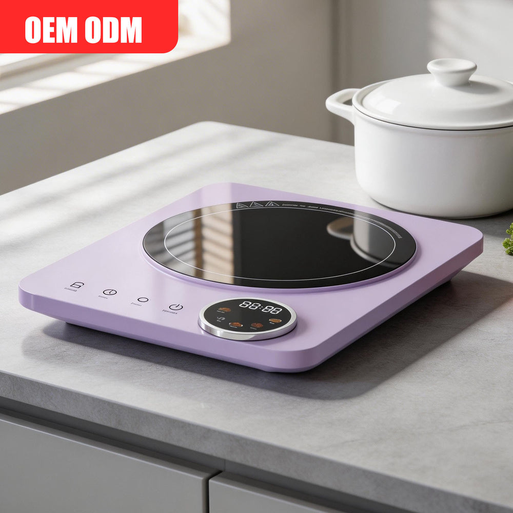 European and american standard 110v electric ceramic stove for home multi-function high-power stir-fry hot pot induction cooker desktop electric stove stir-fry
