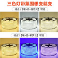 Led strip lights, tri-color dimmable, home use, color changing, living room ceiling, 220v outdoor waterproof rgb flexible strip lights