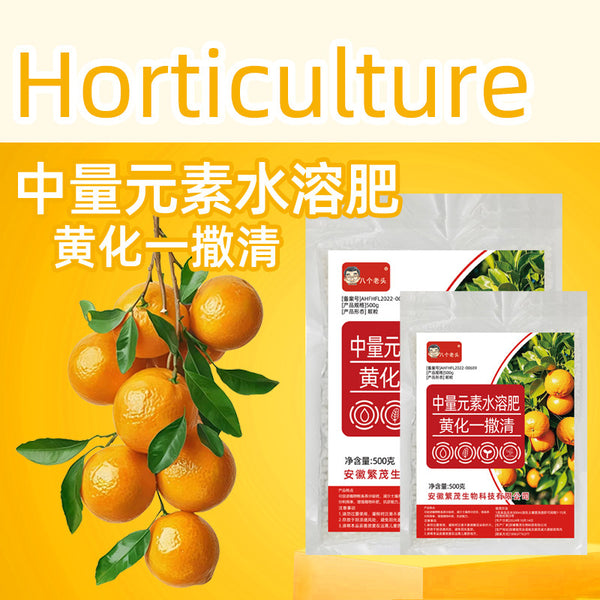 Yellowing One Scattering Qingqing Citrus Flower Yellowing Disease Fruit Trees Special Turning Green Nutrition Strong Potential Genuine Wholesale Cross-border
